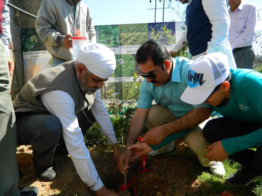 DG ISM Dr. Kabir kicks off medicinal plantation drive